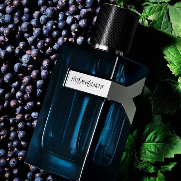 Y By YSL 3.4oz EDP for Men